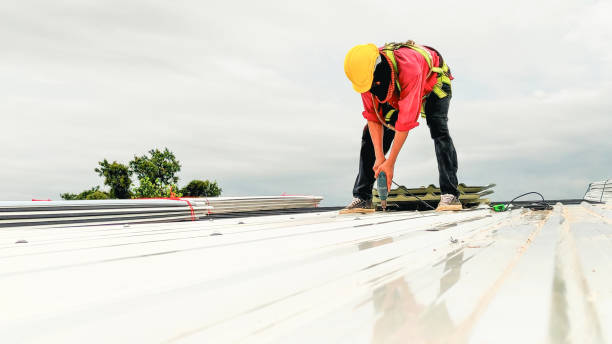 Best Roof Maintenance and Cleaning  in Cascade, ID